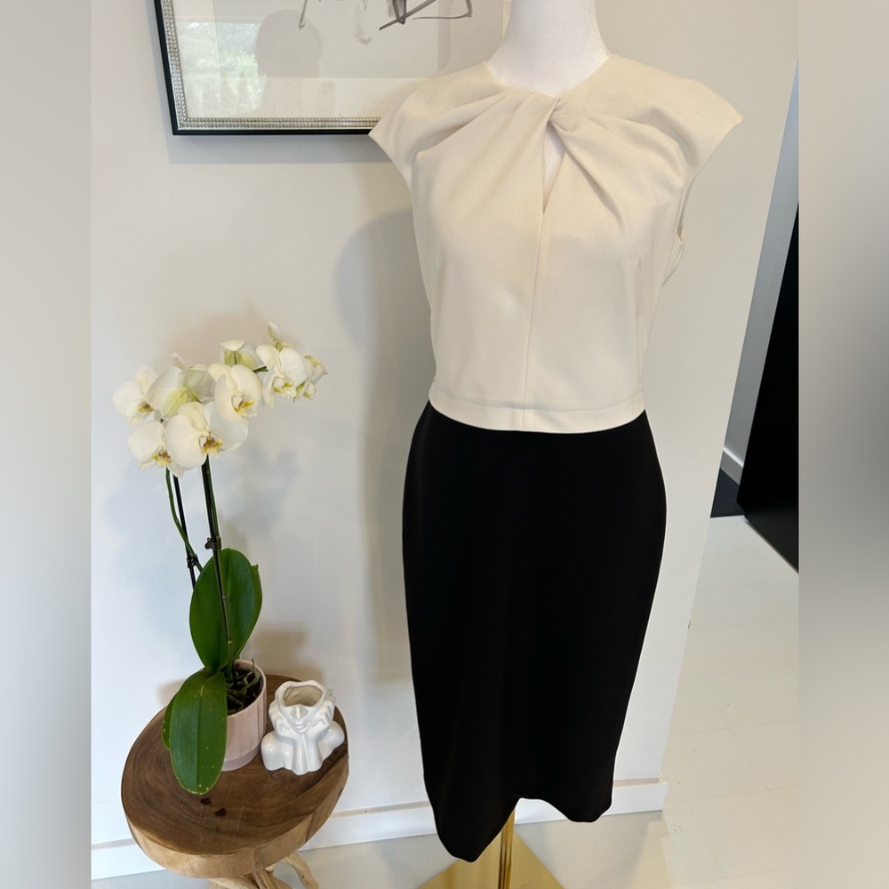 Mid length Dress  professional